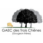 GTC-VC